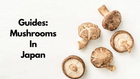 types-of-japanese-mushroom