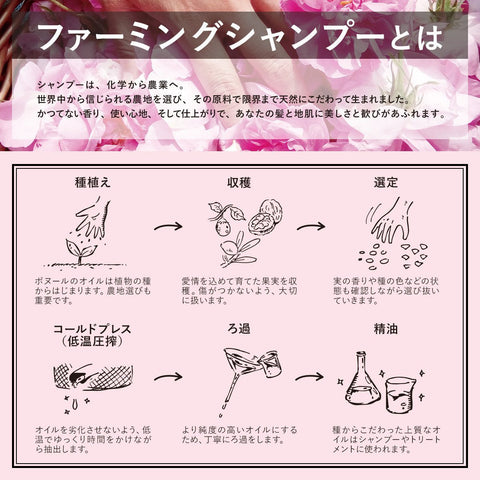 Diane Bonheur 4-Piece Shampoo Treatment Damage Repair Body Refill Japan Grasse Rose Fragrance